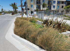 millenia stormwater management