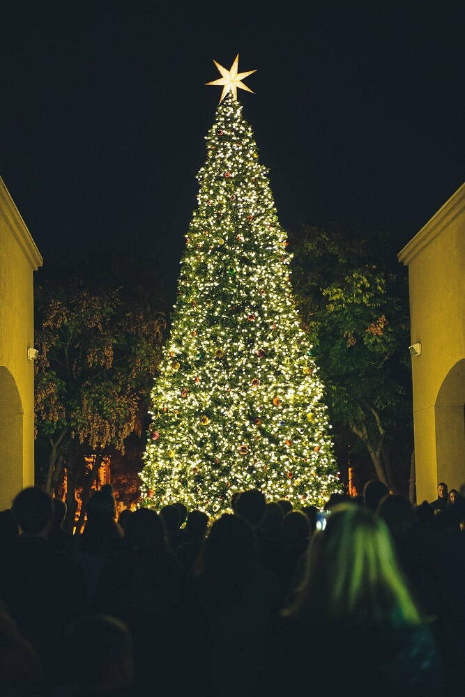 people look up at christmas tree lit up at night