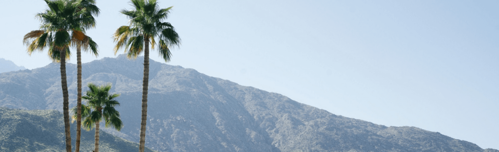 palm trees in front of mountains in palm springs california