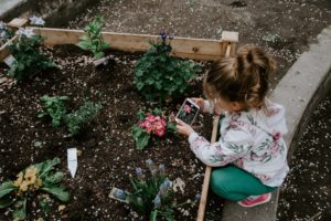 little girl crouches down to take picture of pink flower